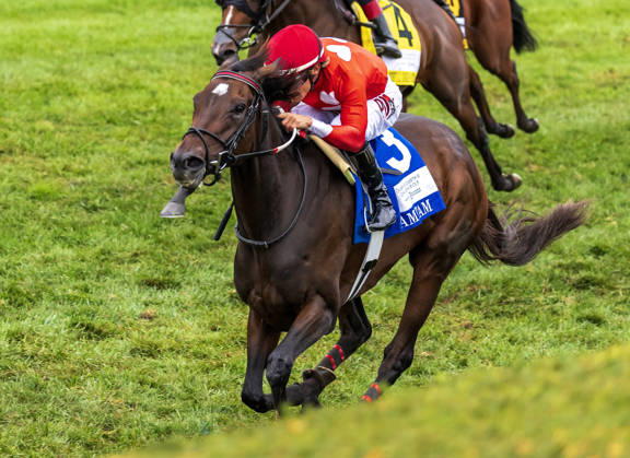 HORSE RACING 2026: QEII GI Day Keeneland OCT 10 October 10, 2026, Lexington, Ky, USA: Tam Tam (3) ridden by Junior Alvarado wins the Queen Elizabeth II Challenge Cup on QEII GI Day on October 10, 2026. Candice Chavez Eclipse Sportswire CSM(Credit Image: Â {Serial Cal Media) Lexington Ky USA EDITORIAL USE ONLY Copyright: xx ZUMA-20261010_faf_cs17_028.jpg {Serialx csmphotothree532742