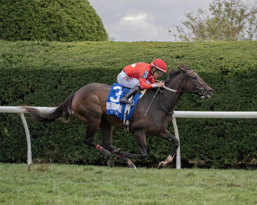HORSE RACING 2026: QEII GI Day Keeneland OCT 10 October 10, 2026, Lexington, Kentucky, USA: Tam Tam (3) ridden by Junior Alvarado wins the Queen Elizabeth II Challenge Cup Stakes (Grade 1) Presented by Dixiana on October 10, 2026. Jessica Morgan Eclipse Sportswire CSM(Credit Image: Â Cal Media) Lexington Kentucky USA EDITORIAL USE ONLY Copyright: xx ZUMA-20261010_faf_cs17_042.jpg 01354200x csmphotothree532762
