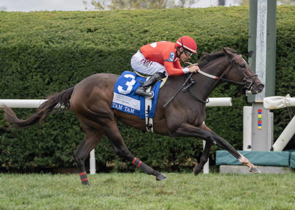 HORSE RACING 2026: QEII GI Day Keeneland OCT 10 October 10, 2026, Lexington, Kentucky, USA: Tam Tam (3) ridden by Junior Alvarado wins the Queen Elizabeth II Challenge Cup Stakes (Grade 1) Presented by Dixiana on October 10, 2026. Jessica Morgan Eclipse Sportswire CSM(Credit Image: Â Cal Media) Lexington Kentucky USA EDITORIAL USE ONLY Copyright: xx ZUMA-20261010_faf_cs17_041.jpg 01354200x csmphotothree532763