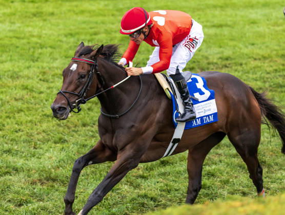 HORSE RACING 2026: QEII GI Day Keeneland OCT 10 October 10, 2026, Lexington, Ky, USA: Tam Tam (3) ridden by Junior Alvarado wins the Queen Elizabeth II Challenge Cup on QEII GI Day on October 10, 2026. Candice Chavez Eclipse Sportswire CSM(Credit Image: Â {Serial Cal Media) Lexington Ky USA EDITORIAL USE ONLY Copyright: xx ZUMA-20261010_faf_cs17_038.jpg {Serialx csmphotothree532766