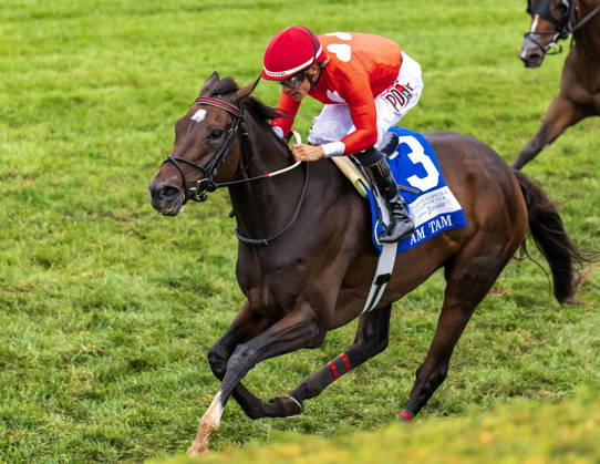 HORSE RACING 2026: QEII GI Day Keeneland OCT 10 October 10, 2026, Lexington, Ky, USA: Tam Tam (3) ridden by Junior Alvarado wins the Queen Elizabeth II Challenge Cup on QEII GI Day on October 10, 2026. Candice Chavez Eclipse Sportswire CSM(Credit Image: Â {Serial Cal Media) Lexington Ky USA EDITORIAL USE ONLY Copyright: xx ZUMA-20261010_faf_cs17_037.jpg {Serialx csmphotothree532767