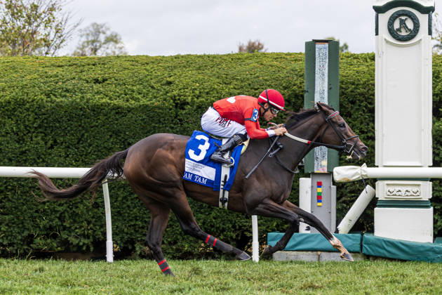 HORSE RACING 2026: QEII GI Day Keeneland OCT 10 October 10, 2026, USA: Tam Tam (3) ridden by Junior Alvarado wins The Queen Elizabeth II Challenge Cup (Grade 1) at Keeneland Race Course in Lexington, Kentucly on October 10, 2026. Casey Laughter Eclipse Sportswire CSM(Credit Image: Â Casey Laughter Cal Media) USA EDITORIAL USE ONLY Copyright: xx ZUMA-20261010_faf_cs17_035.jpg CaseyxLaughterx csmphotothree532769