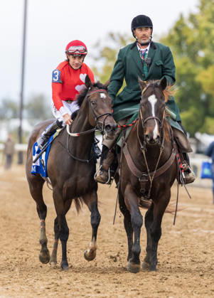 HORSE RACING 2026: QEII GI Day Keeneland OCT 10 October 10, 2026, Lexington, Ky, USA: Tam Tam (3) ridden by Junior Alvarado wins the Queen Elizabeth II Challenge Cup on QEII GI Day on October 10, 2026. Candice Chavez Eclipse Sportswire CSM(Credit Image: Â {Serial Cal Media) Lexington Ky USA EDITORIAL USE ONLY Copyright: xx ZUMA-20261010_faf_cs17_046.jpg {Serialx csmphotothree532775