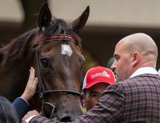 HORSE RACING 2026: QEII GI Day Keeneland OCT 10 October 10, 2026, Lexington, Ky, USA: Tam Tam (3) ridden by Junior Alvarado wins the Queen Elizabeth II Challenge Cup on QEII GI Day on October 10, 2026. Candice Chavez Eclipse Sportswire CSM(Credit Image: Â {Serial Cal Media) Lexington Ky USA EDITORIAL USE ONLY Copyright: xx ZUMA-20261010_faf_cs17_045.jpg {Serialx csmphotothree532776
