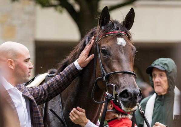 HORSE RACING 2026: QEII GI Day Keeneland OCT 10 October 10, 2026, Lexington, Ky, USA: Tam Tam (3) ridden by Junior Alvarado wins the Queen Elizabeth II Challenge Cup on QEII GI Day on October 10, 2026. Candice Chavez Eclipse Sportswire CSM(Credit Image: Â {Serial Cal Media) Lexington Ky USA EDITORIAL USE ONLY Copyright: xx ZUMA-20261010_faf_cs17_043.jpg {Serialx csmphotothree532778
