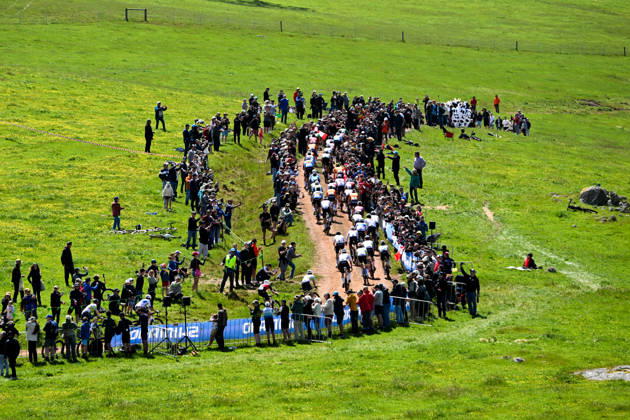 2026 UCI Gravel World Championships Picture by Zac Williams SWpix.com - 11 10 2026 - Cycling - 2026 UCI Gravel World Championships - Nannup, Western Australia, Australia - Men™s Elite - The peloton Copyright: x xSWpix.comx(t axPhotographyxHubxLtd)xZacxWilliams SWpix.comx SWP-3030-24525
