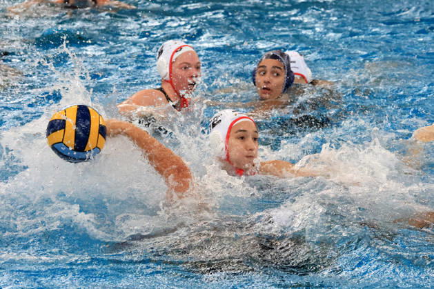 11.10.2026, GER, DEU, Deutschland Wasserball Frauen ,Wasserball Champion League Qualifikation, Saison 2026, Berlin, Spandau 04 vs. Pallanuoto Trieste Spandauer-Spielerkreis, Dar Menakerman ( Spandau04 12 ) nordphoto GmbH Engler Berlin Schwimmhalle-Schoeneberg Berlin Deutschland Copyright: xNordphotox xEnglerx