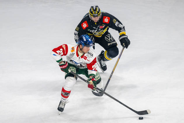 Zweikampf zwischen Alexander Blank (Augsburger Panther, 26) und Adam Payerl (Krefeld Pinguine, 90). Krefeld Pinguine vs. Augsburger Panther, Eishockey, Penny DEL, 08. Spieltag, Saison 2026 2027, 11.10.2026 Krefeld Pinguine vs. Augsburger Panther, Eishockey, Penny DEL, 08. Spieltag, Saison 2026 2027, 11.10.2026 Krefeld Copyright: xEibner-Pressefoto ThomasxHaeslerx EP_THR