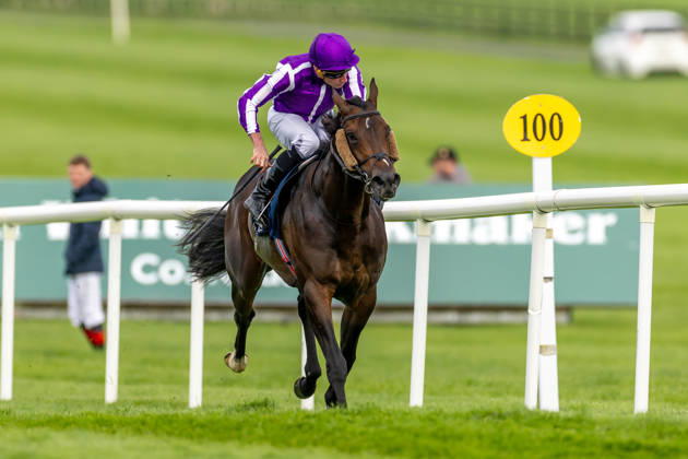 REPRO FREE *PRESS RELEASE NO REPRODUCTION FEE* EDITORIAL USE ONLY October Weekend Meeting 2026, Naas Racecourse, Kildare 11 10 2026 Ryan Moore on Bengal Tiger wins The Tifrums Irish EBF (C & G) Maiden Ryan Moore on Bengal Tiger 11 10 2026  Copyright: xx 0U6A3575