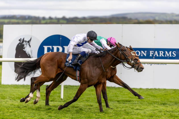 REPRO FREE *PRESS RELEASE NO REPRODUCTION FEE* EDITORIAL USE ONLY October Weekend Meeting 2026, Naas Racecourse, Kildare 11 10 2026 Joey Sheridan on Princess Child, nearside, gets the better of Colin Keane on Faiyum to win The Irish Stallion Farms EBF Garnet Stakes (Listed) Joey Sheridan on Princess Child, nearside, gets the better of Colin Keane on Faiyum 11 10 2026  Copyright: xx MT2_3716