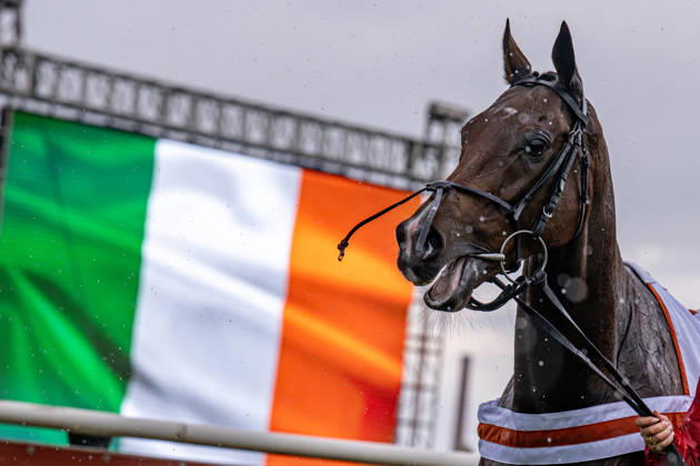 The 136th Grand Pardubice Steeplechase (6,900m), in Pardubice, Czech Republic, on October 11, 2026. This year s race was won by the Irish horse Final Orders. (CTKxPhoto DavidxTanecek) CTKPhotoP2026101105108 CTKPhotoP2026101105108