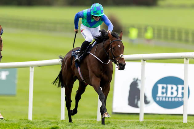 REPRO FREE *PRESS RELEASE NO REPRODUCTION FEE* EDITORIAL USE ONLY October Weekend Meeting 2026, Naas Racecourse, Kildare 11 10 2026 Jamie Powell on Snapretend wins The Irish Stallion Farms EBF Bluebell Stakes (Listed) Jamie Powell on Snapretend 11 10 2026  Copyright: xx 0U6A3688_1