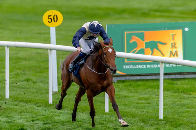 REPRO FREE *PRESS RELEASE NO REPRODUCTION FEE* EDITORIAL USE ONLY October Weekend Meeting 2026, Naas Racecourse, Kildare 11 10 2026 Ben Coen on Vanir wins The SIS, Supporting Irish Racing Fillies Handicap Ben Coen on Vanir 11 10 2026  Copyright: xx 0U6A3775