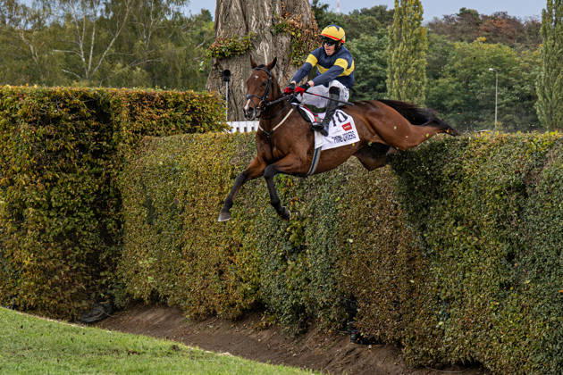 The 136th Grand Pardubice Steeplechase (6,900m), in Pardubice, Czech Republic, on October 11, 2026. Keith Michael Donoghue, riding Final Orders, clears the Taxis ditch. (CTKxPhoto DavidxTanecek) CTKPhotoP2026101105242  CTKPhotoP2026101105242