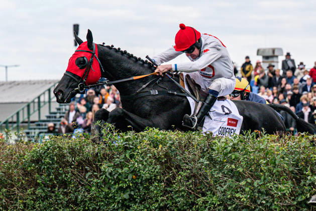 The 136th Grand Pardubice Steeplechase (6,900m), in Pardubice, Czech Republic, on October 11, 2026. Jan Faltejsek riding Godfrey. (CTKxPhoto DavidxTanecek) CTKPhotoP2026101105304 CTKPhotoP2026101105304