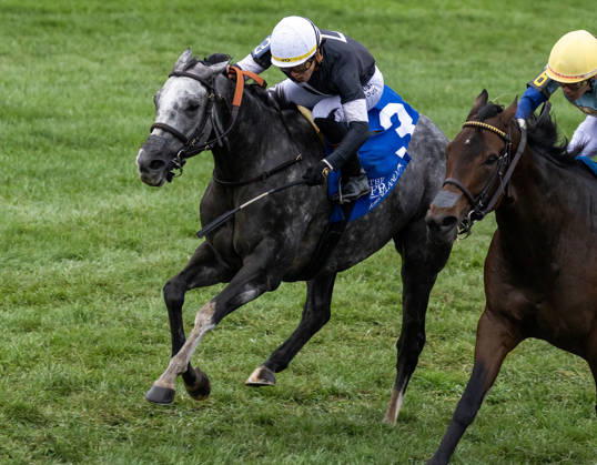 October 11, 2026, Lexington, Ky, USA: Time to Dazzle (3) ridden by Irad Ortiz Jr wins the Franklin Stakes Day on October 11, 2026. Candice Chavez Eclipse Sportswire CSM HORSE RACING 2026: Franklin Stakes Day Keeneland OCT 11  - ZUMAcs17 20261011_faf_cs17_002 Copyright: x {Serialx