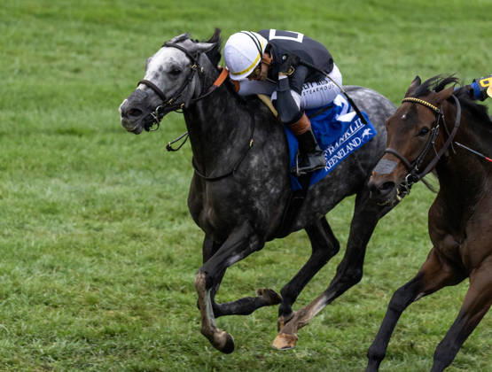 October 11, 2026, Lexington, Ky, USA: Time to Dazzle (3) ridden by Irad Ortiz Jr wins the Franklin Stakes Day on October 11, 2026. Candice Chavez Eclipse Sportswire CSM Lexington USA - ZUMAcs17 20261011_faf_cs17_004 Copyright: x {Serialx