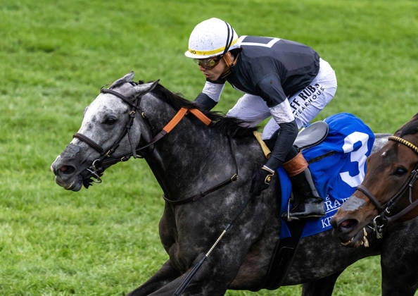 October 11, 2026, Lexington, Ky, USA: Time to Dazzle (3) ridden by Irad Ortiz Jr wins the Franklin Stakes Day on October 11, 2026. Candice Chavez Eclipse Sportswire CSM HORSE RACING 2026: Franklin Stakes Day Keeneland OCT 11  - ZUMAcs17 20261011_faf_cs17_009 Copyright: x {Serialx