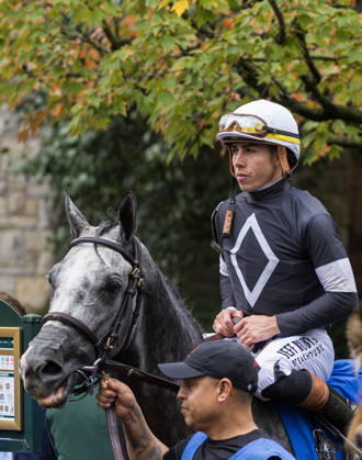 October 11, 2026, Lexington, Ky, USA: Time to Dazzle (3) ridden by Irad Ortiz Jr wins the Franklin Stakes Day on October 11, 2026. Candice Chavez Eclipse Sportswire CSM HORSE RACING 2026: Franklin Stakes Day Keeneland OCT 11  - ZUMAcs17 20261011_faf_cs17_016 Copyright: x {Serialx