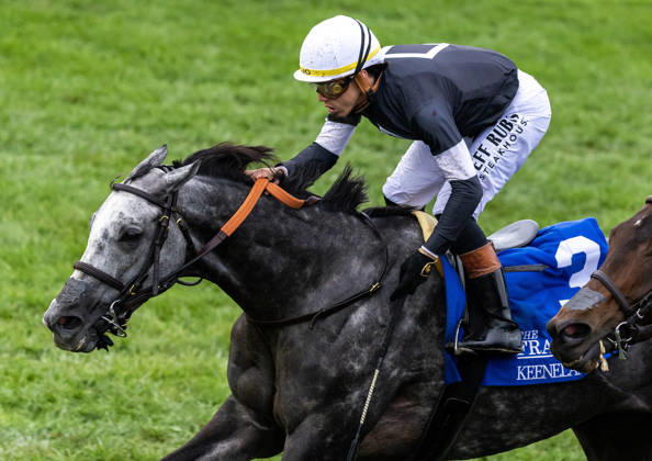 October 11, 2026, Lexington, Ky, USA: Time to Dazzle (3) ridden by Irad Ortiz Jr wins the Franklin Stakes Day on October 11, 2026. Candice Chavez Eclipse Sportswire CSM Lexington USA - ZUMAcs17 20261011_faf_cs17_010 Copyright: x {Serialx