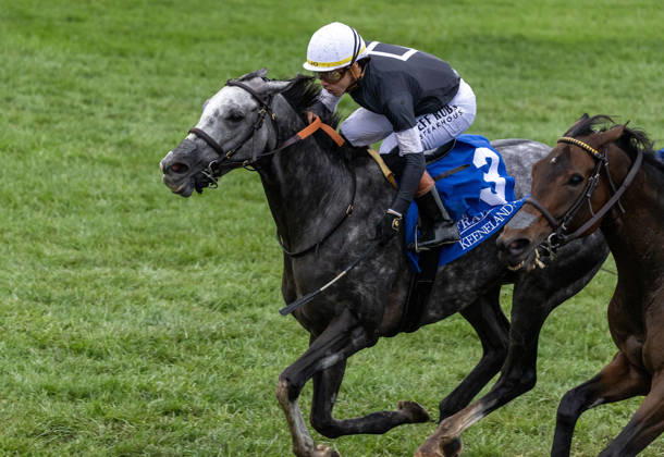 October 11, 2026, Lexington, Ky, USA: Time to Dazzle (3) ridden by Irad Ortiz Jr wins the Franklin Stakes Day on October 11, 2026. Candice Chavez Eclipse Sportswire CSM Lexington USA - ZUMAcs17 20261011_faf_cs17_012 Copyright: x {Serialx