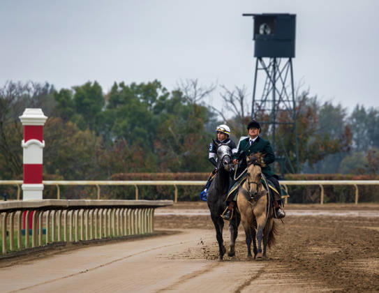October 11, 2026, Lexington, Ky, USA: Time to Dazzle (3) ridden by Irad Ortiz Jr wins the Franklin Stakes on Franklin Stakes Day on October 11, 2026. Candice Chavez Eclipse Sportswire CSM HORSE RACING 2026: Franklin Stakes Day Keeneland OCT 11  - ZUMAcs17 20261011_faf_cs17_022 Copyright: x {Serialx