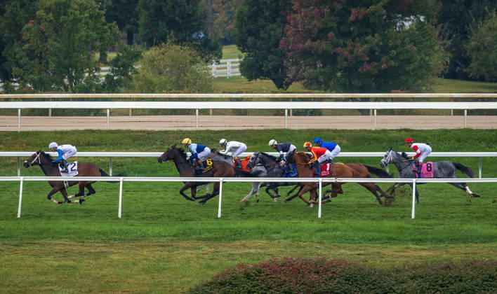 October 11, 2026, Lexington, Ky, USA: Time to Dazzle (3) ridden by Irad Ortiz Jr wins the Franklin Stakes Day on October 11, 2026. Candice Chavez Eclipse Sportswire CSM Lexington USA - ZUMAcs17 20261011_faf_cs17_017 Copyright: x {Serialx