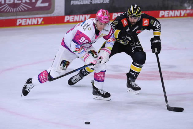 Eishockey Penny DEL 10. Spieltag Krefeld Pinguine - Eisbären Berlin am 18.10.2026 in der Yayla Arena in Krefeld Leonard Pföderl ( Berlin ), vorne - Davis Vandane ( Krefeld ), hinten Gemäß den Vorgaben der DEL Deutsche Eishockey Liga ist die Publikation und Weiterverwertung der Aufnahmen in elektronischen Medien und Endgeräten aller Art während des laufenden Spiels nicht zulässig.