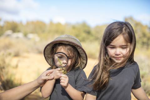 Girls examining plant with magnifying glass model released Symbolfoto property released  ZEF16073