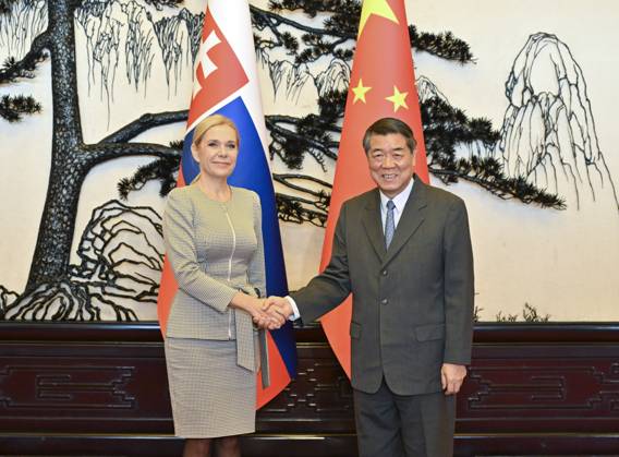 (251014) -- BEIJING, Oct. 14, 2025 -- Chinese Vice Premier He Lifeng, also a member of the Political Bureau of the Communist Party of China Central Committee, meets with Slovak Deputy Prime Minister and Minister of Economy Denisa Sakova at the Great Hall of the People in Beijing, capital of China, Oct. 14, 2025. ) CHINA-BEIJING-HE LIFENG-SLOVAK COUNTERPART-MEETING (CN) YinxBogu