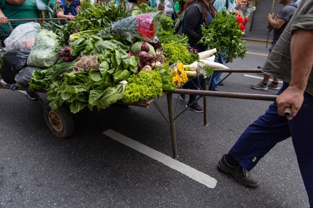 October 16, 2025, Buenos Aires, Buenos Aires, Argentina: Flowers and Fresh Vegetables Arrive at Plaza de Mayo. A protest against the production and consumption crisis, shared one harvest at a time. Buenos Aires Argentina - ZUMAp265 20251016_zip_p265_002 Copyright: xDelfinaxCorberaxPix