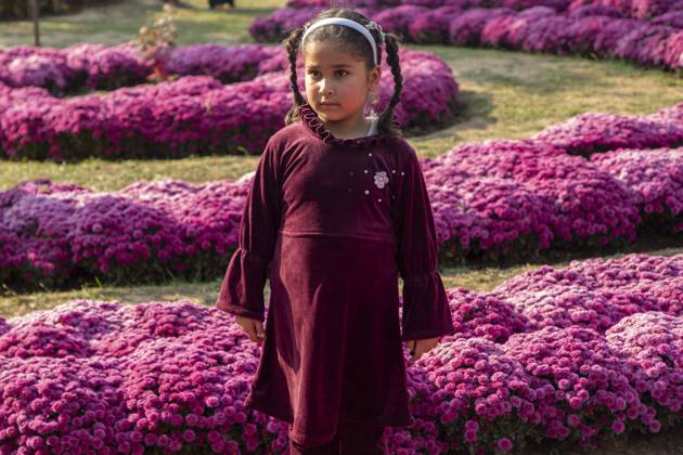 October 28, 2025, Srinagar, Jammu And Kashmir, India: People stroll through the newly opened Chrysanthemum Garden at the Botanical Garden in Srinagar. Surrounded by a vibrant display of hundreds of blooming varieties, the garden has begun captivating visitors and nature lovers amid the autumn season. The government-backed initiative aims to boost tourism in the Himalayan region, badly hit after the deadly Pahalgam attack that killed 26 Indian Hindu tourists. The colorful garden adds fresh charm to the city™s scenic landscape and underscores efforts to promote eco-tourism in Jammu and Kashmir. Srinagar India - ZUMAs197 20251028_aaa_s197_001 Copyright: xFaisalxBashirx