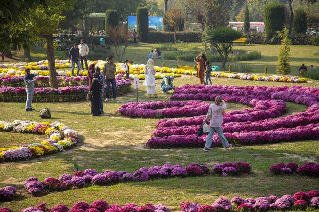 October 28, 2025, Srinagar, Jammu And Kashmir, India: People stroll through the newly opened Chrysanthemum Garden at the Botanical Garden in Srinagar. Surrounded by a vibrant display of hundreds of blooming varieties, the garden has begun captivating visitors and nature lovers amid the autumn season. The government-backed initiative aims to boost tourism in the Himalayan region, badly hit after the deadly Pahalgam attack that killed 26 Indian Hindu tourists. The colorful garden adds fresh charm to the city™s scenic landscape and underscores efforts to promote eco-tourism in Jammu and Kashmir. Srinagar India - ZUMAs197 20251028_aaa_s197_003 Copyright: xFaisalxBashirx