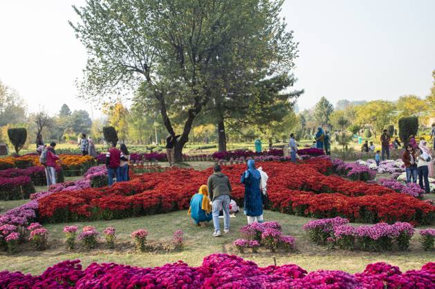 October 28, 2025, Srinagar, Jammu And Kashmir, India: People take pictures inside the newly opened Chrysanthemum Garden in Srinagar. Surrounded by a vibrant display of hundreds of blooming varieties, the garden has begun captivating visitors and nature lovers amid the autumn season. The government-backed initiative aims to boost tourism in the Himalayan region, badly hit after the deadly Pahalgam attack that killed 26 Indian Hindu tourists. The colorful garden adds fresh charm to the city™s scenic landscape and underscores efforts to promote eco-tourism in Jammu and Kashmir. Srinagar India - ZUMAs197 20251028_aaa_s197_006 Copyright: xFaisalxBashirx
