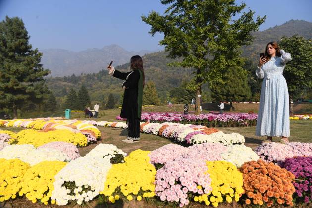 October 27, 2025, Srinagar, Jammu And Kashmir, India: People take selfies inside the newly opened Chrysanthemum Garden at the Botanical Garden in Srinagar. The Chrysanthemum Garden in Srinagar, showcasing hundreds of blooming varieties, has begun drawing visitors and nature lovers amid the autumn season. The government-backed initiative aims to revive tourism in the Himalayan region following the deadly Pahalgam attack that claimed 26 lives. The vibrant display adds renewed charm to the city s landscape and highlights ongoing efforts to promote eco-tourism in Jammu and Kashmir. Srinagar India - ZUMAz120 20251027_zip_z120_021 Copyright: xBasitxZargarx