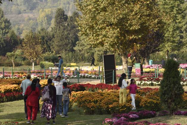 October 27, 2025, Srinagar, Jammu And Kashmir, India: People stroll through the newly opened Chrysanthemum Garden at the Botanical Garden in Srinagar. The Chrysanthemum Garden in Srinagar, showcasing hundreds of blooming varieties, has begun drawing visitors and nature lovers amid the autumn season. The government-backed initiative aims to revive tourism in the Himalayan region following the deadly Pahalgam attack that claimed 26 lives. The vibrant display adds renewed charm to the city s landscape and highlights ongoing efforts to promote eco-tourism in Jammu and Kashmir. Srinagar India - ZUMAz120 20251027_zip_z120_025 Copyright: xBasitxZargarx
