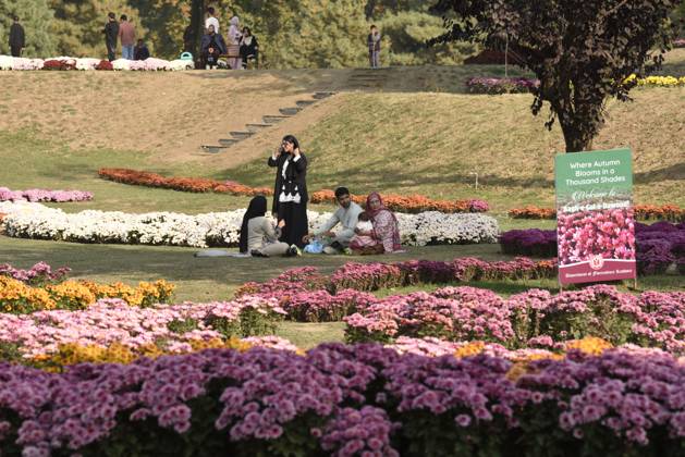October 27, 2025, Srinagar, Jammu And Kashmir, India: People stroll through the newly opened Chrysanthemum Garden at the Botanical Garden in Srinagar. The Chrysanthemum Garden in Srinagar, showcasing hundreds of blooming varieties, has begun drawing visitors and nature lovers amid the autumn season. The government-backed initiative aims to revive tourism in the Himalayan region following the deadly Pahalgam attack that claimed 26 lives. The vibrant display adds renewed charm to the city s landscape and highlights ongoing efforts to promote eco-tourism in Jammu and Kashmir. Srinagar India - ZUMAz120 20251027_zip_z120_029 Copyright: xBasitxZargarx
