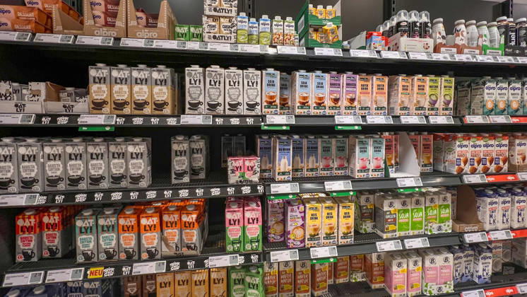 Braunschweig, Niedersachsen, Deutschland, Europa: Verkaufsregal mit pflanzlichen Milchalternativen und Barista-Getränken in einem deutschen Supermarkt. Hafer-, Soja-, Mandel-, Reis- und Kokosdrinks verschiedener Marken stehen geordnet im Kühl- bzw. Trockenregal mit Preisetiketten. Symbolbild für vegane Ernährung, pflanzliche Produkte, Lebensmittelhandel, Konsum, Ernährungstrends und Einzelhandel. Copyright: xAymanxAlahmedx