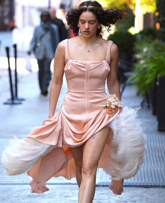 Rosalia Leaves Her Hotel - NYC Spanish Singer Rosalia with a nice pink dress leaves her hotel in New York on October 6, 2026. Photp by Dylan Travis ABACAPRESS.COM New York City NY United States Copyright: xDylanxTravis ABACAx
