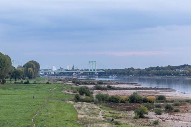 Niedrigwasser am Rhein: Trockenes Flussbett vor der Rodenkirchener Brücke (A4) - 07.10.26 Blick von der Eisenbahn-Südbrücke in Köln rheinaufwärts Richtung Süden auf die Rodenkirchener Autobahnbrücke (A4). Im Vordergrund liegt das Flussbett großflächig trocken. Der Pegel Köln liegt mit 43 cm auf Rekordniveau, nur wenig über dem Tiefstwert von 40 cm. Ab Donnerstag leitet eine Regenfront den Herbst ein und bringt den Pegeln erste Entspannung. Köln Südbrücke Nordrhein-Westfalen Deutschland Copyright: xMarcxJohnx