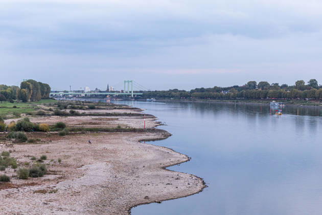Niedrigwasser am Rhein: Trockenes Flussbett vor der Rodenkirchener Brücke (A4) - 07.10.26 Blick von der Eisenbahn-Südbrücke in Köln rheinaufwärts Richtung Süden auf die Rodenkirchener Autobahnbrücke (A4). Im Vordergrund liegt das Flussbett großflächig trocken. Der Pegel Köln liegt mit 43 cm auf Rekordniveau, nur wenig über dem Tiefstwert von 40 cm. Ab Donnerstag leitet eine Regenfront den Herbst ein und bringt den Pegeln erste Entspannung. Köln Südbrücke Nordrhein-Westfalen Deutschland Copyright: xMarcxJohnx
