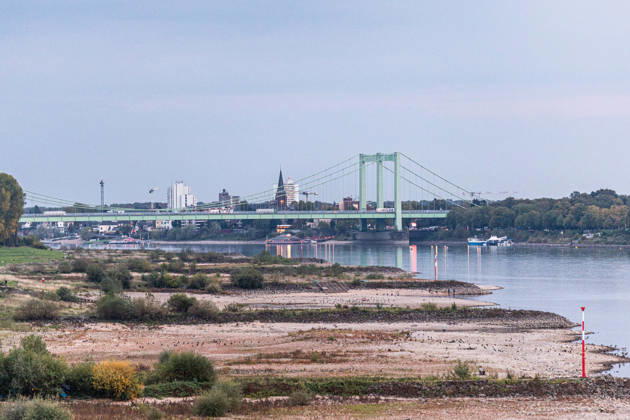 Niedrigwasser am Rhein: Trockenes Flussbett vor der Rodenkirchener Brücke (A4) - 07.10.26 Blick von der Eisenbahn-Südbrücke in Köln rheinaufwärts Richtung Süden auf die Rodenkirchener Autobahnbrücke (A4). Im Vordergrund liegt das Flussbett großflächig trocken. Der Pegel Köln liegt mit 43 cm auf Rekordniveau, nur wenig über dem Tiefstwert von 40 cm. Ab Donnerstag leitet eine Regenfront den Herbst ein und bringt den Pegeln erste Entspannung. Köln Südbrücke Nordrhein-Westfalen Deutschland Copyright: xMarcxJohnx