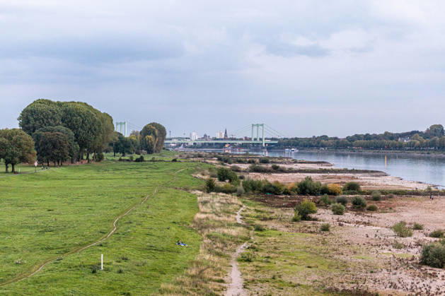 Niedrigwasser am Rhein: Trockenes Flussbett vor der Rodenkirchener Brücke (A4) - 07.10.26 Blick von der Eisenbahn-Südbrücke in Köln rheinaufwärts Richtung Süden auf die Rodenkirchener Autobahnbrücke (A4). Im Vordergrund liegt das Flussbett großflächig trocken. Der Pegel Köln liegt mit 43 cm auf Rekordniveau, nur wenig über dem Tiefstwert von 40 cm. Ab Donnerstag leitet eine Regenfront den Herbst ein und bringt den Pegeln erste Entspannung. Köln Südbrücke Nordrhein-Westfalen Deutschland Copyright: xMarcxJohnx