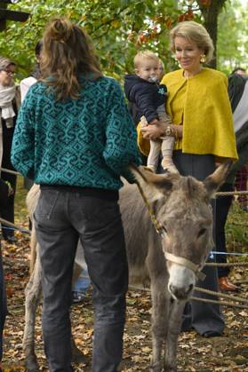 Queen Mathilde Visits Winners Of the 2026 Queen Mathilde Prize GREZ-DOICEAU, BELGIUM - OCTOBER 08: Queen Mathilde of Belgium pictured visiting two organizations that won the 2026 Queen Mathilde Prize : Vzw Alba, on October 08, 2026 in Grez-Doiceau, Belgium, 08 10 2026 Grez-Doiceau Belgium Copyright: xPhilipxReynaersx