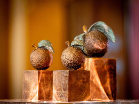 Presentation of the Appeltjes van Oranje awards. The Hague, The Netherlands. 8 Oct 2026 at the presentation of the Appeltjes van Oranje awards at Noordeinde Palace in The Hague. The Hague The Netherlands  Copyright: xDPPA ANx