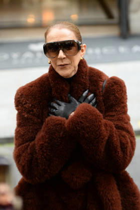 Céline Dion greets her fans as she leaves the Royal Monceau hotel in Paris, before heading to La Plenitude Arena in Paris La Défense to continue her concert series on October 9, 2026. The night before, the Quebec star stumbled on stage and then forgot some of the lyrics to her song, Pour que tu m’aimes encore during the finale of her show. Clément Prioli, Bestimage. Céline Dion greets fans as she leaves the Royal Monceau Hotel in Paris, before heading to the Paris La Défense Arena to continue her concert series on October 9, 2026. The previous evening, the Quebec star stumbled on stage and forgot some of the lyrics to her song Pour que tu m’aimes encore during the show’s finale. Paris, France  Copyright: xClÃ mentxPrioli BestimagexClÃ mentxPrioli Bestimagex
