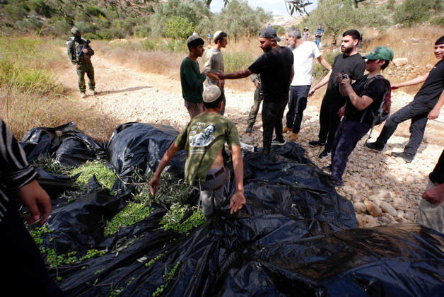 Clashes erupt between Israeli settlers and Palestinian farmers in West Bank RAMALLAH, WEST BANK - OCTOBER 9: Clashes break out between Israeli settlers, accompanied by Israeli soldiers, and Palestinian farmers harvesting olives in the town of Deir Ibzi, near Ramallah in West Bank, on October 9, 2026. The incident reportedly involved damage to olive crops and provocative actions by the settlers. Issam Rimawi Anadolu West Bank Palestine. Editorial use only. Please get in touch for any other usage. Copyright: x2026xAnadoluxIssamxRimawix