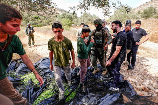 Clashes erupt between Israeli settlers and Palestinian farmers in West Bank RAMALLAH, WEST BANK - OCTOBER 9: Clashes break out between Israeli settlers, accompanied by Israeli soldiers, and Palestinian farmers harvesting olives in the town of Deir Ibzi, near Ramallah in West Bank, on October 9, 2026. The incident reportedly involved damage to olive crops and provocative actions by the settlers. Issam Rimawi Anadolu West Bank Palestine. Editorial use only. Please get in touch for any other usage. Copyright: x2026xAnadoluxIssamxRimawix