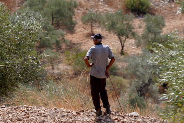 Clashes erupt between Israeli settlers and Palestinian farmers in West Bank RAMALLAH, WEST BANK - OCTOBER 9: Clashes break out between Israeli settlers, accompanied by Israeli soldiers, and Palestinian farmers harvesting olives in the town of Deir Ibzi, near Ramallah in West Bank, on October 9, 2026. The incident reportedly involved damage to olive crops and provocative actions by the settlers. Issam Rimawi Anadolu West Bank Palestine. Editorial use only. Please get in touch for any other usage. Copyright: x2026xAnadoluxIssamxRimawix