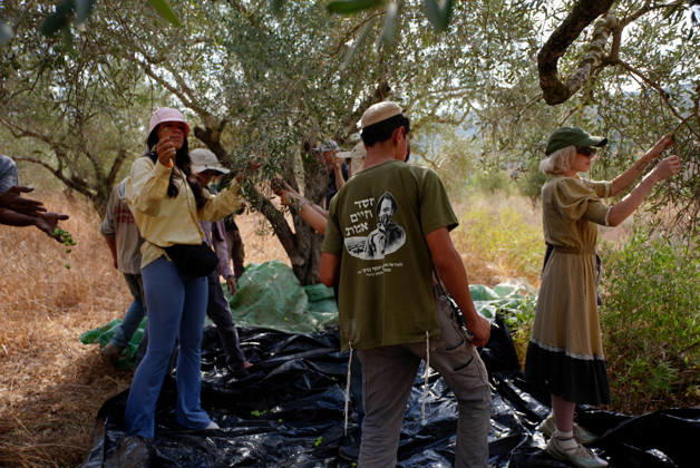 Clashes erupt between Israeli settlers and Palestinian farmers in West Bank RAMALLAH, WEST BANK - OCTOBER 9: Clashes break out between Israeli settlers, accompanied by Israeli soldiers, and Palestinian farmers harvesting olives in the town of Deir Ibzi, near Ramallah in West Bank, on October 9, 2026. The incident reportedly involved damage to olive crops and provocative actions by the settlers. Issam Rimawi Anadolu Ramallah West Bank. Editorial use only. Please get in touch for any other usage.  Copyright: x2026xAnadoluxIssamxRimawix